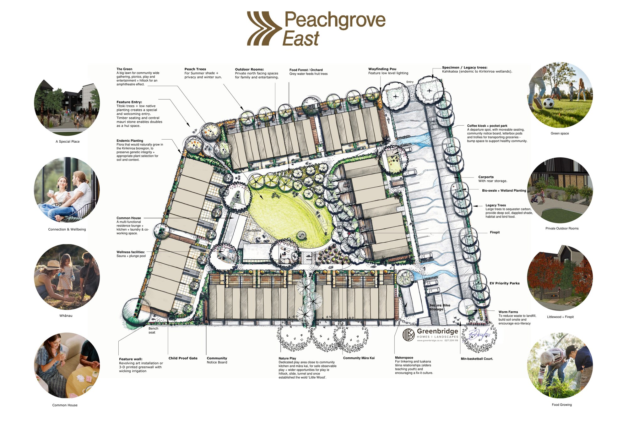 Annotated site plan of Peachgrove East showing buildings, common house, gardens, and shared amenities